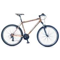 BPLUMEN  | Kolo MTB Heavy Tools Filister  Altus zlatá 2012